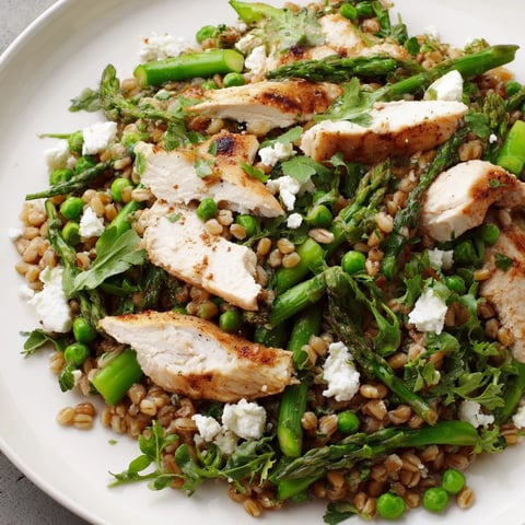 Here are the 3 ALT texts: